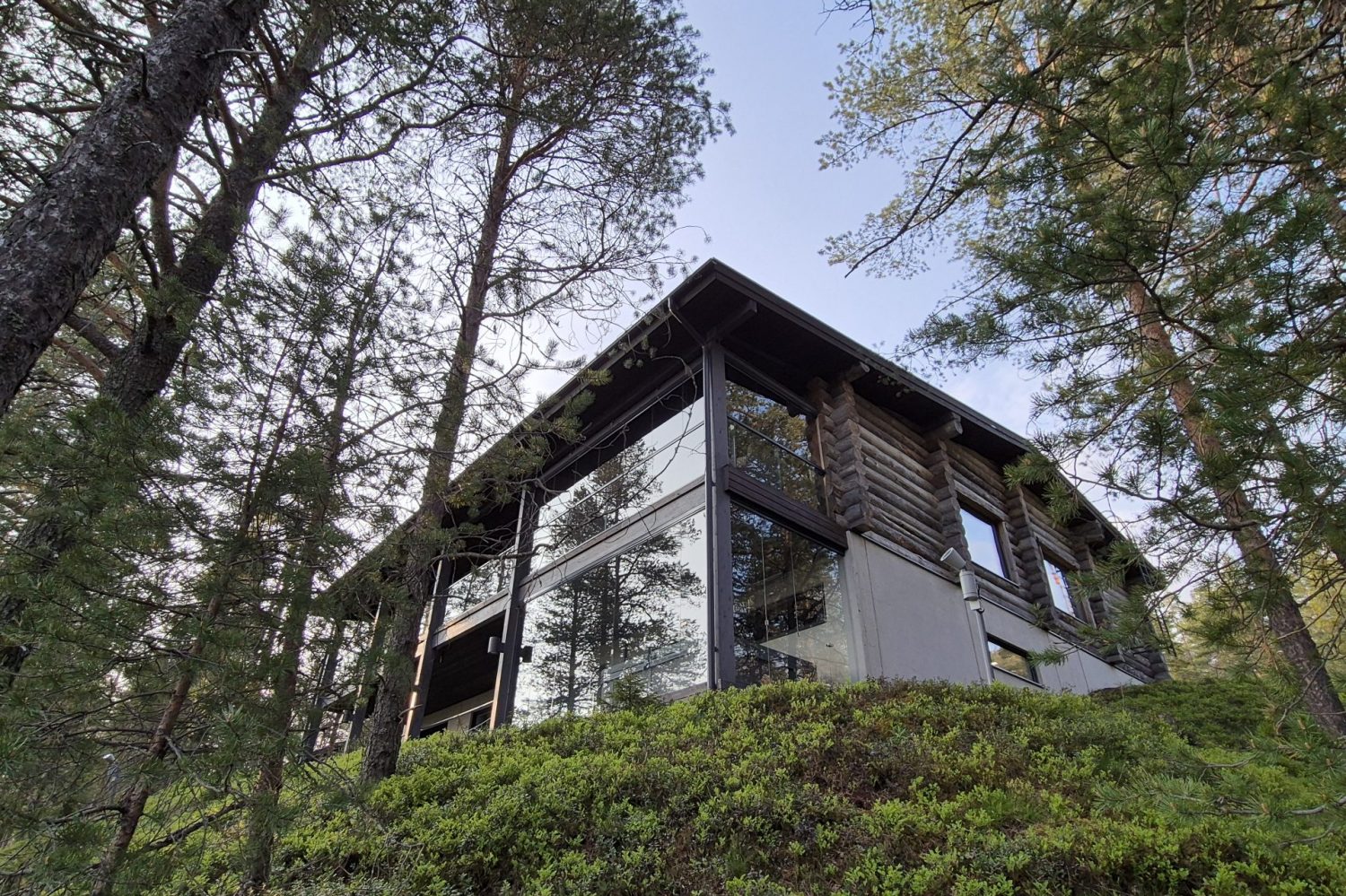 Villa Rinnekaltio rinteessä kesällä, kuvattuna alhaalta mäntyjen lomasta